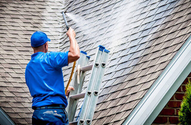 lexington roof cleaning